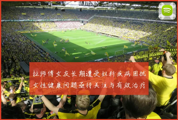 拉师傅女友长期遭受妇科疾病困扰女性健康问题亟待关注与有效治疗方案